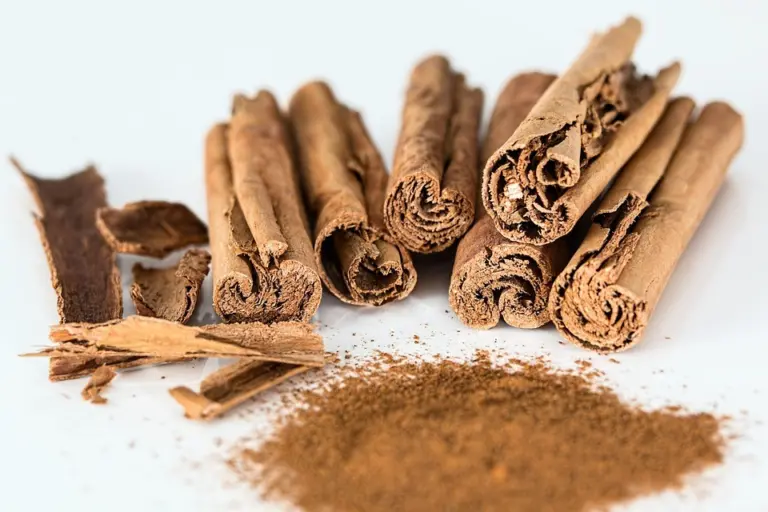 Selama berabad-abad, penggunaan cinnamon dalam hidangan Eropa terus berkembang